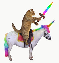 The Cat With A Rainbow Sword Is Riding The Real Unicorn. White Background.