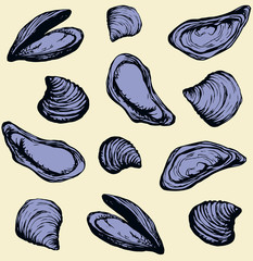 Poster - Oyster. Vector drawing