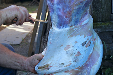 Wall Mural - Butcher carving goat carcass. Fresh meat