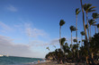 Palmenstrand der Karibik
