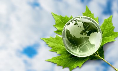 Poster - Environment concept, glass globe and green leaf