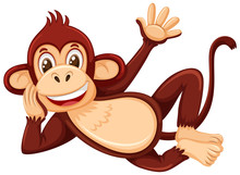 A monkey laying on white background