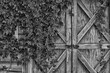 Barn Doors (Monochrome)