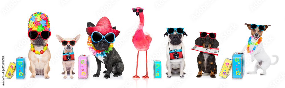 row of dogs on summer vacation - obrazy, fototapety, plakaty 