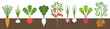 © lukpedclub - vegetable with root in soil texture, flat design