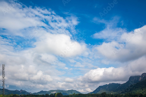 Treeblue Sky And White Cloudswallpaper And Background Buy This