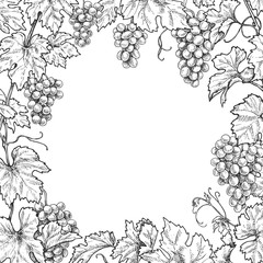 Wall Mural - Monochrome Grape Branches Square Frame