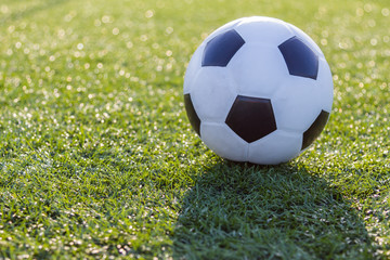 Soccer football on green grass before sunset