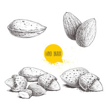 Hand Drawn Sketch Style Almond Set. Single, Group Seeds And Almond In Nutshells Group. Organic Food, Vector Illustrations Collection Isolated On White Background.