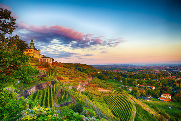 Wall Mural - Radebeul Sachsen Weinhänge Spitzhaus Dresden Wein Grün Sonne Himmel