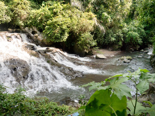 Waterfall in green rainforest. waterfall in the mountain jungle. Bali,Indonesia. Travel concept.