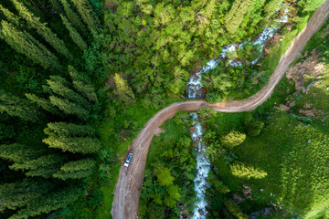 Pine forest from above, spring season, forest road and river