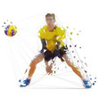 Volleyball player, isolated geometric vector illustration. Low poly team sport athlete