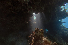 Underwater View Of Grotto In Anegada, British Virgin Islands