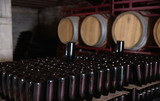 Fototapeta  - Pallets of wine bottles and wooden wine barrels