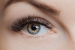 © Parilov - Eyelash extension procedure. Beautiful female eyes with long lashes, closeup