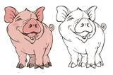 Fototapeta  - Cute pig in color and black and white, coloring page, vector illustration