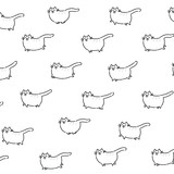 Fototapeta Dinusie - Pattern cartoon character of the cat. Set of different poses of the character. The looped animation of the cat. Animation for a game or a cartoon. A flat illustration on an isolated background.
