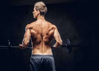 Wall Mural - Back view of shirtless man with stylish hair and muscular ectomorph doing the exercises with the barbell.