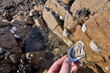 Dégustation d'une huître dans les rochers en Bretagne