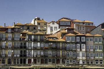 Wall Mural - Turista no Porto, Portugal