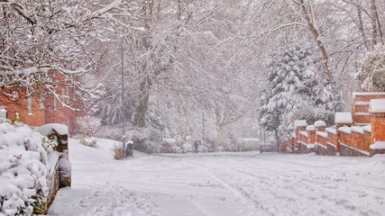 Wall Mural - Street in Snowfall 