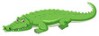 A green crocodile on white background