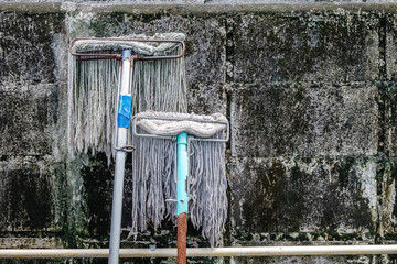 Old and Dirty Floors Mobs on Grunge and Dirty Concrete Block Wall Background with Copy Space