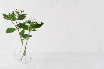 Gentle minimalist bouquet in exquisite transparent vase with white small flowers and green leaves on white shelf, simple home decor.