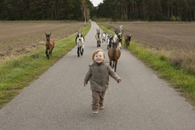 Goats Following Cute Girl On Rural Road