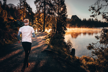 Wall Mural - Athlete in morning forest