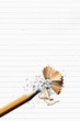 © fStop - Pencil shavings on lined paper