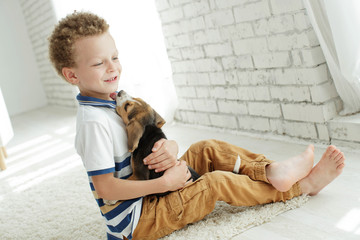 Wall Mural - Child with a dog 