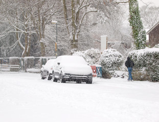 Wall Mural - Street in Snow