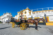 Horse carriage in Seville in Andalusia, Spain