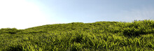 Grass To The Horizon, Widescreen Background.