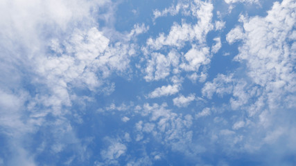 Wall Mural - a lot fluffy cloud on blue sky.