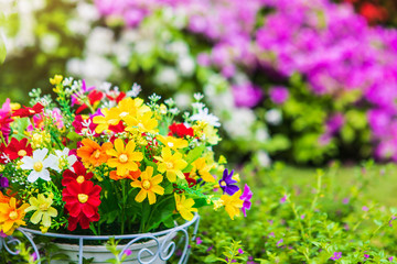 Beautiful flowers in the white  pots for decoration garden.