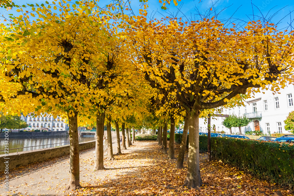 Linden