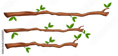 A set of tree branch Canvas Print