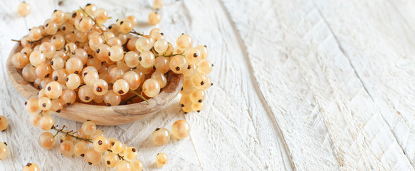 Wall Mural - Ripe white currant berries