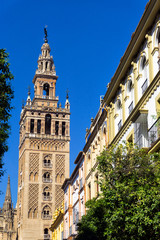 Poster - Seville Cathedral Tower