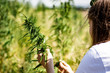 © Alexander - young woman harvesting marijuana buds on a field