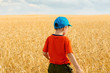 © EvgenyPyatkov - the child runs around the wheat field