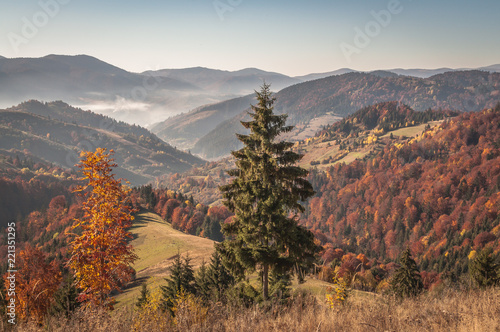 landscapes-of-autumn-carpathian-mountains