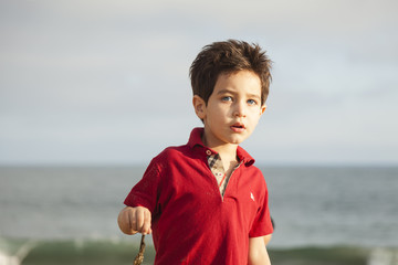 Wall Mural - Boy at Beach