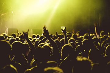 Wall Mural - Crowd in a concert