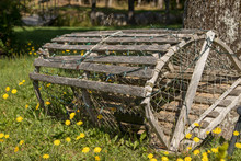 Closeup Lobster Trap Leaning On Tree, No People, Summer.