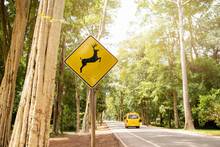 Deer Crossing Warning Sign In Country Road With Tourist Car On The Road.