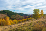 Fototapeta Tęcza - Autumn scene in the mountains